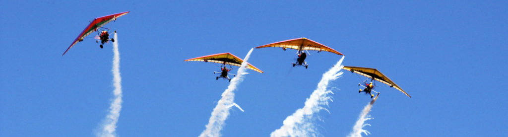 DSC_0922 – MicroFlyers